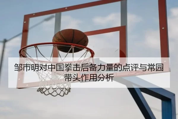 邹市明对中国拳击后备力量的点评与常园带头作用分析